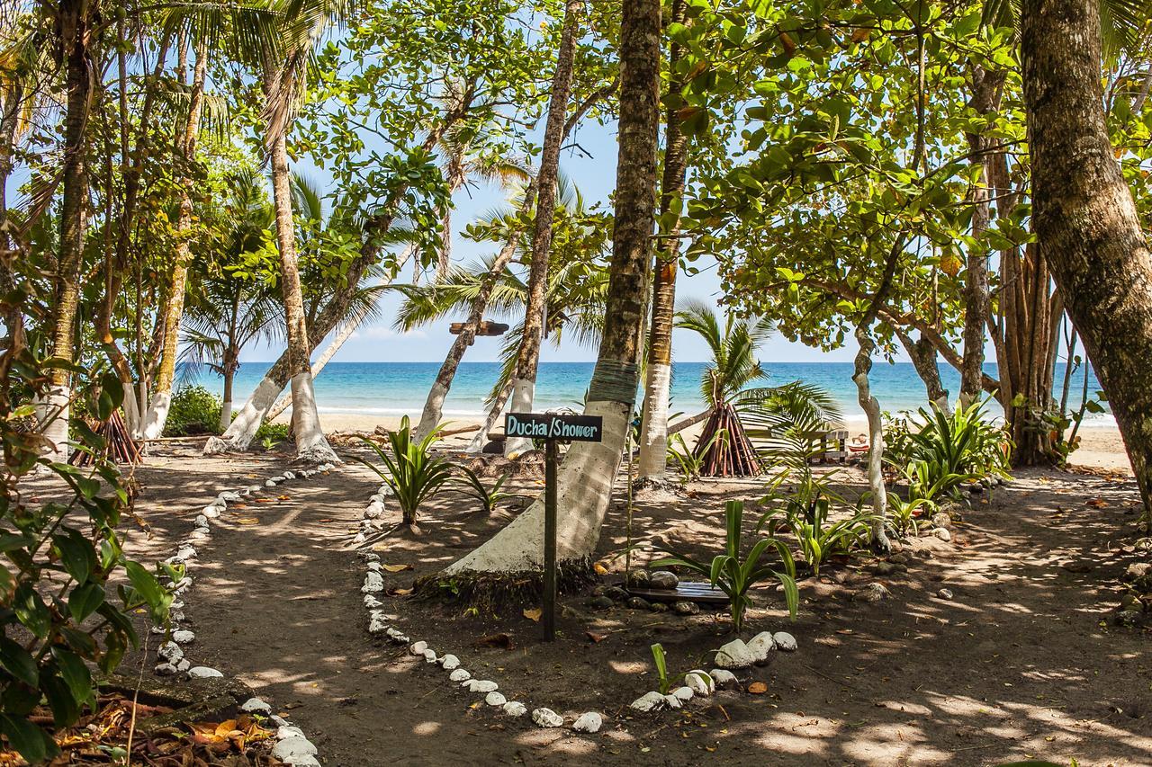 Lapalapa Beachfront Hotel Puerto Viejo de Talamanca Extérieur photo