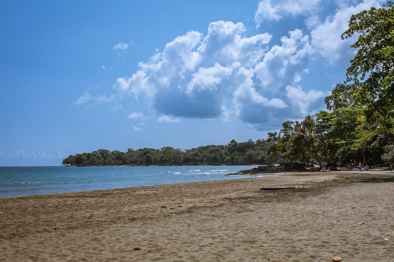 Lapalapa Beachfront Hotel Puerto Viejo de Talamanca Extérieur photo