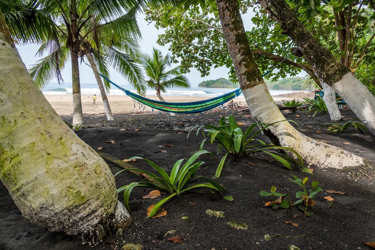Lapalapa Beachfront Hotel Puerto Viejo de Talamanca Extérieur photo
