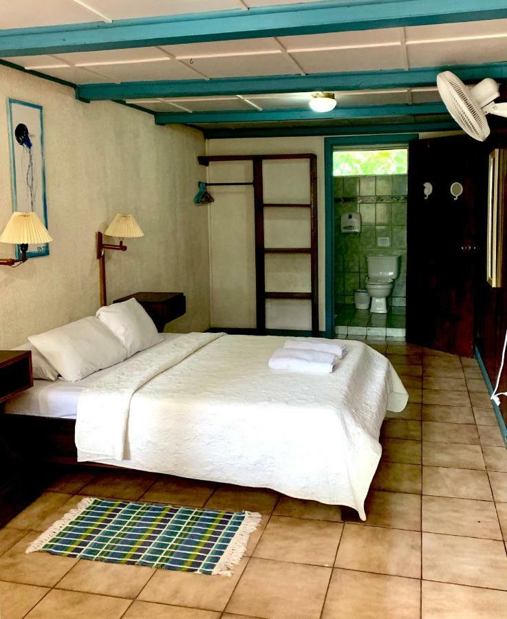 Lapalapa Beachfront Hotel Puerto Viejo de Talamanca Extérieur photo