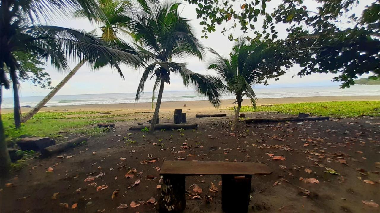 Lapalapa Beachfront Hotel Puerto Viejo de Talamanca Extérieur photo