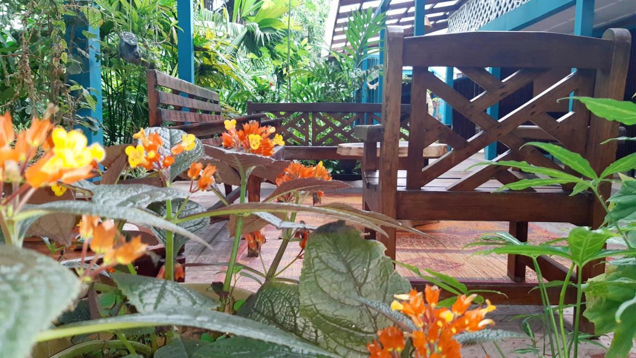 Lapalapa Beachfront Hotel Puerto Viejo de Talamanca Extérieur photo