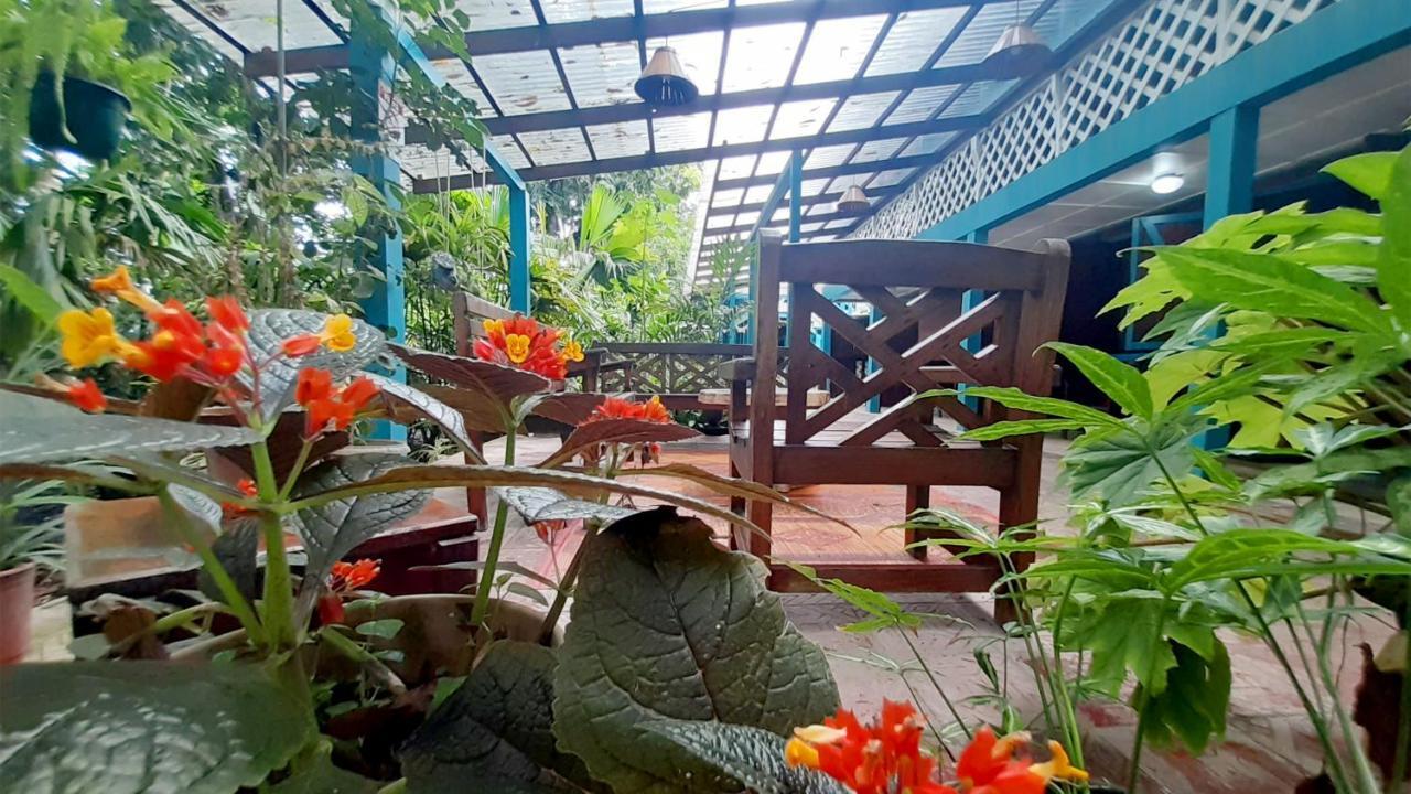 Lapalapa Beachfront Hotel Puerto Viejo de Talamanca Extérieur photo